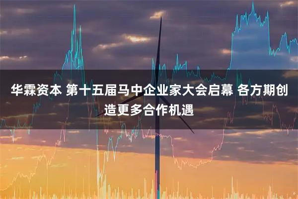 华霖资本 第十五届马中企业家大会启幕 各方期创造更多合作机遇