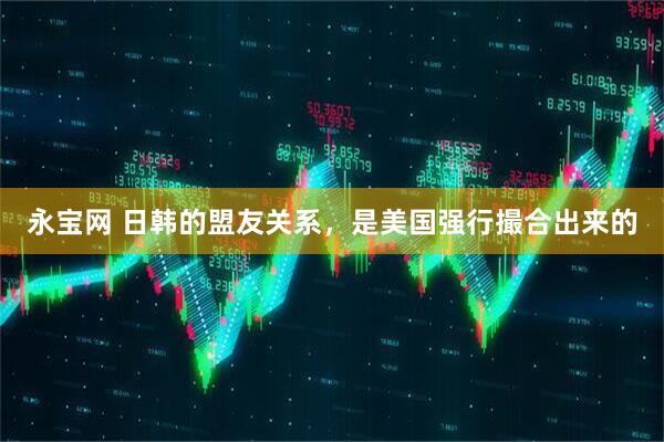 永宝网 日韩的盟友关系，是美国强行撮合出来的